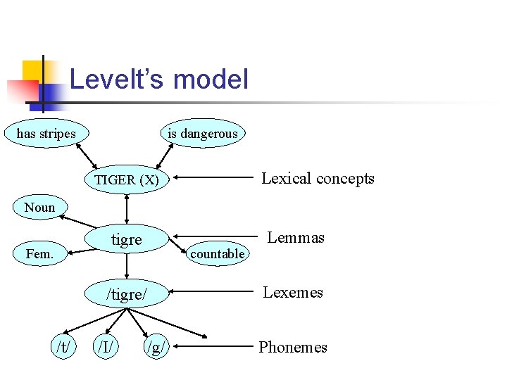 Levelt’s model has stripes is dangerous Lexical concepts TIGER (X) Noun tigre Fem. countable