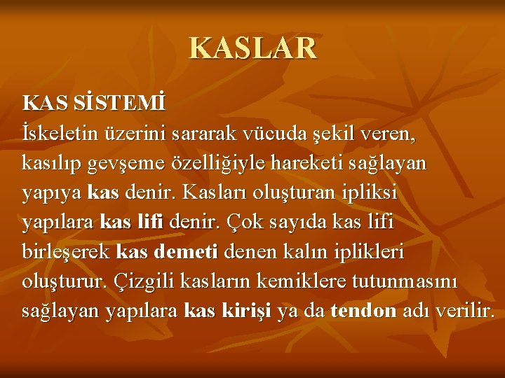 KASLAR KAS SİSTEMİ İskeletin üzerini sararak vücuda şekil veren, kasılıp gevşeme özelliğiyle hareketi sağlayan