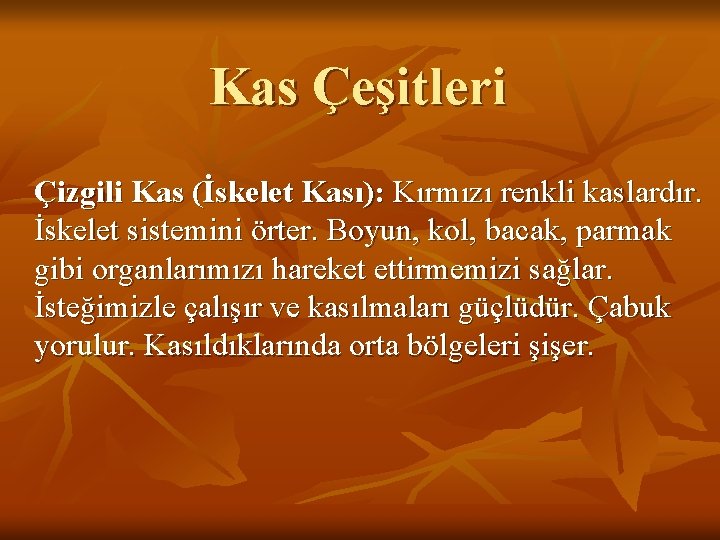 Kas Çeşitleri Çizgili Kas (İskelet Kası): Kırmızı renkli kaslardır. İskelet sistemini örter. Boyun, kol,