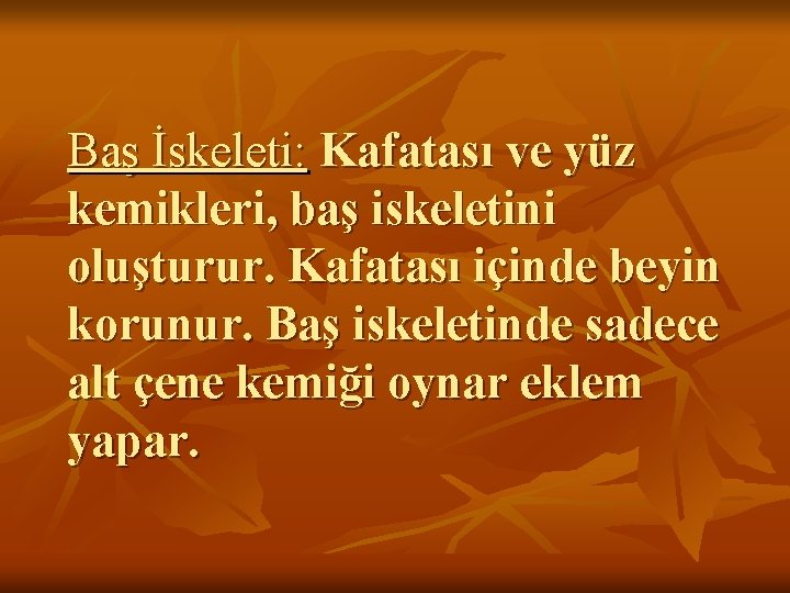Baş İskeleti: Kafatası ve yüz kemikleri, baş iskeletini oluşturur. Kafatası içinde beyin korunur. Baş