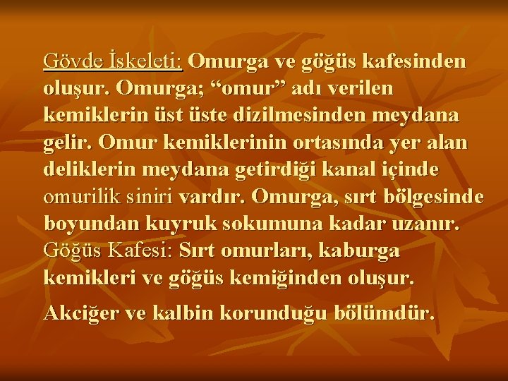 Gövde İskeleti: Omurga ve göğüs kafesinden oluşur. Omurga; “omur” adı verilen kemiklerin üste dizilmesinden