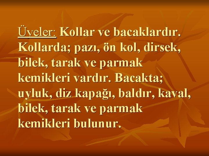 Üyeler: Kollar ve bacaklardır. Kollarda; pazı, ön kol, dirsek, bilek, tarak ve parmak kemikleri