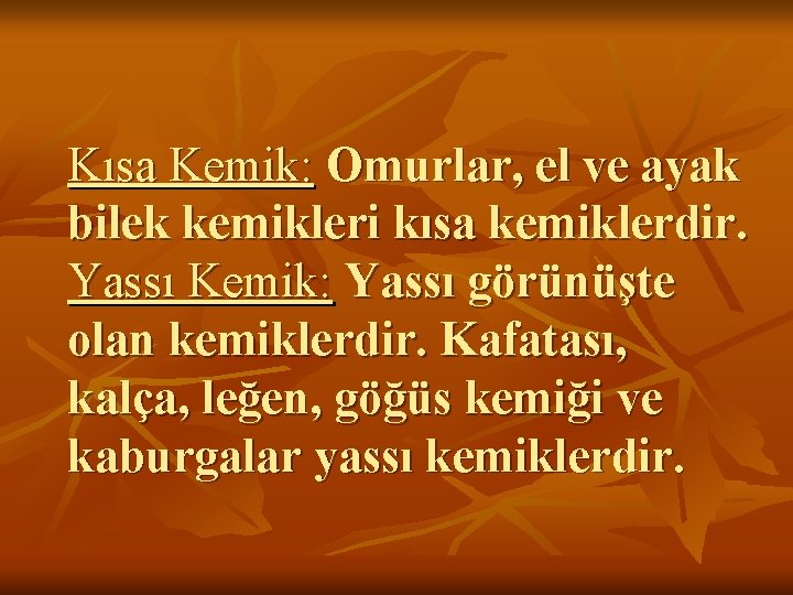 Kısa Kemik: Omurlar, el ve ayak bilek kemikleri kısa kemiklerdir. Yassı Kemik: Yassı görünüşte