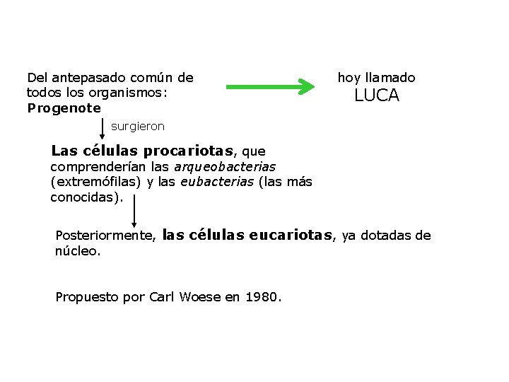Del antepasado común de todos los organismos: Progenote hoy llamado LUCA surgieron Las células