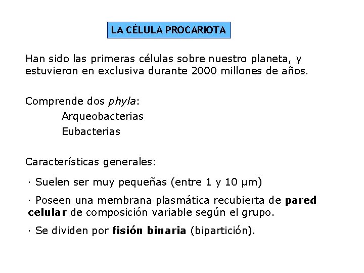 LA CÉLULA PROCARIOTA Han sido las primeras células sobre nuestro planeta, y estuvieron en