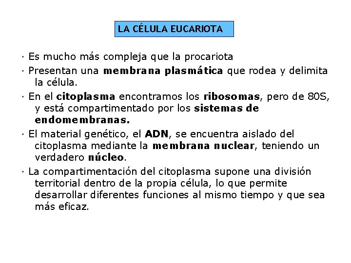 LA CÉLULA EUCARIOTA · Es mucho más compleja que la procariota · Presentan una