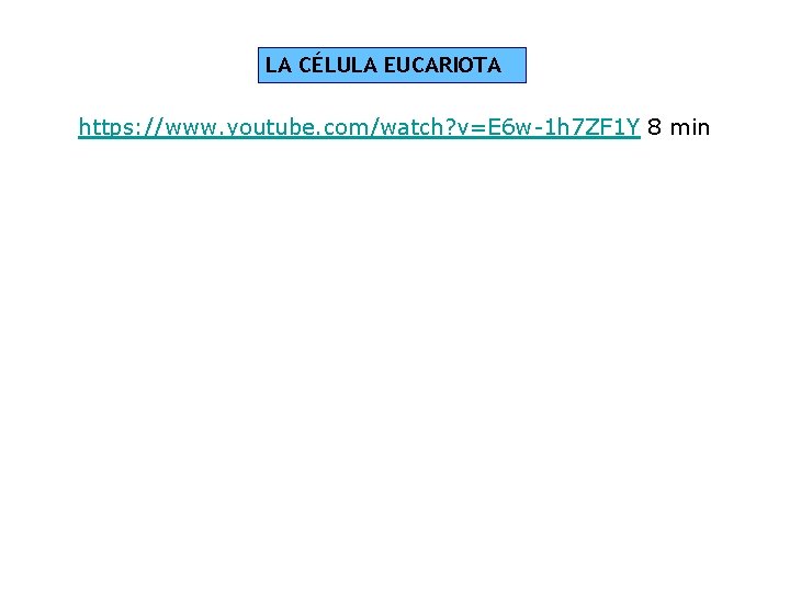 LA CÉLULA EUCARIOTA https: //www. youtube. com/watch? v=E 6 w-1 h 7 ZF 1