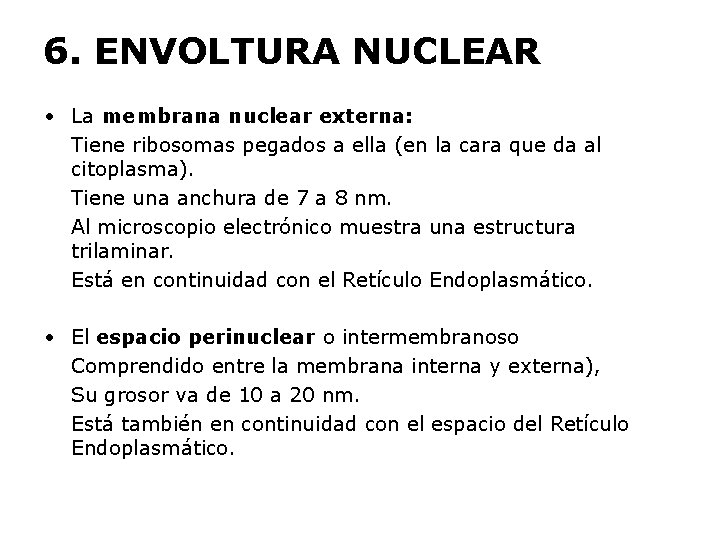 6. ENVOLTURA NUCLEAR • La membrana nuclear externa: Tiene ribosomas pegados a ella (en