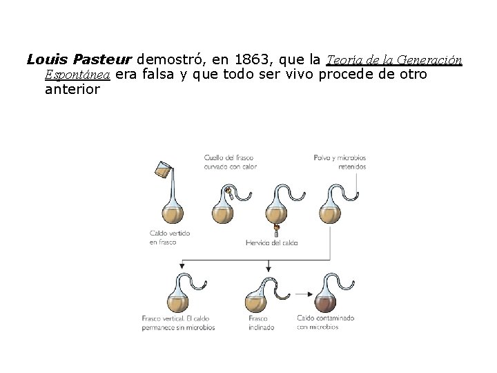 Louis Pasteur demostró, en 1863, que la Teoría de la Generación Espontánea era falsa