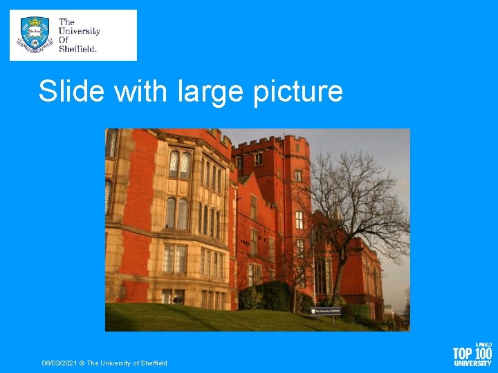 Slide with large picture 06/03/2021 © The University of Sheffield 