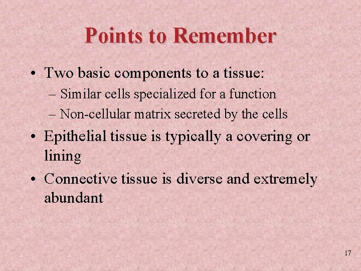 Points to Remember • Two basic components to a tissue: – Similar cells specialized