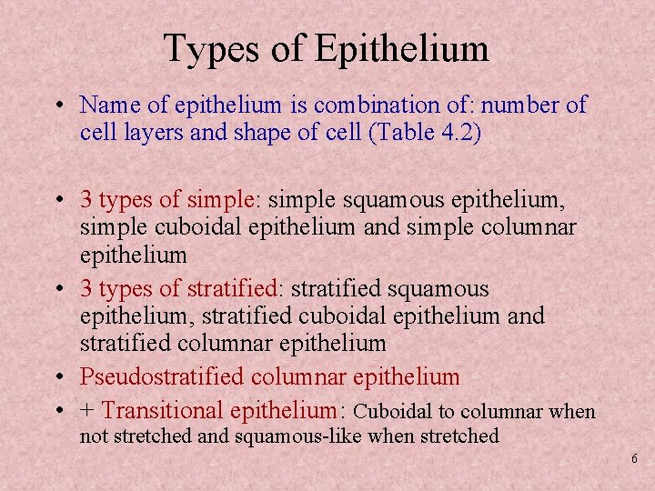 Types of Epithelium • Name of epithelium is combination of: number of cell layers