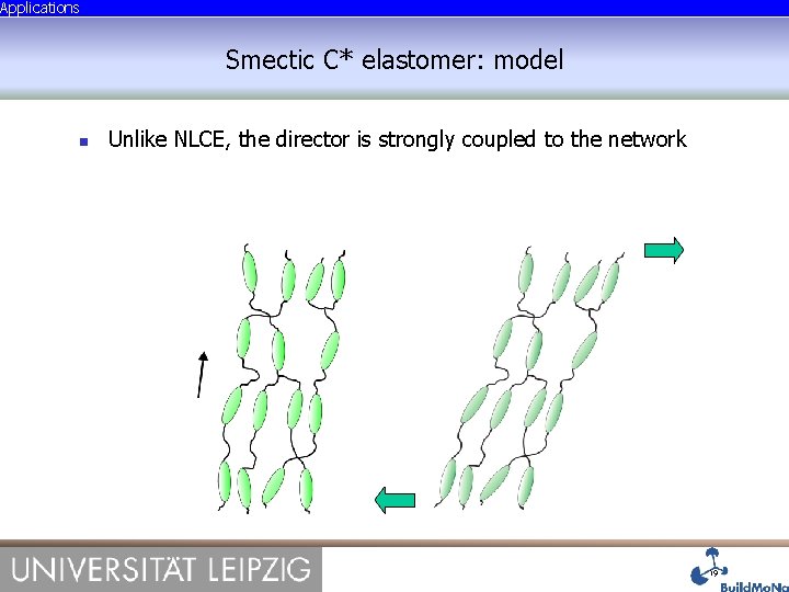 Applications Smectic C* elastomer: model Unlike NLCE, the director is strongly coupled to the