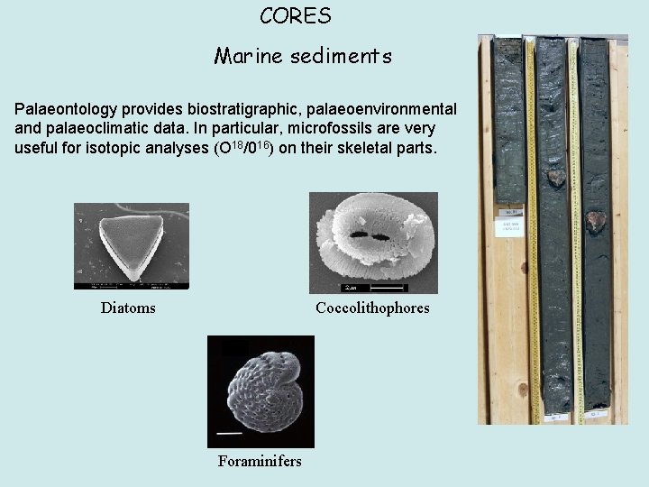 CORES Marine sediments Palaeontology provides biostratigraphic, palaeoenvironmental and palaeoclimatic data. In particular, microfossils are