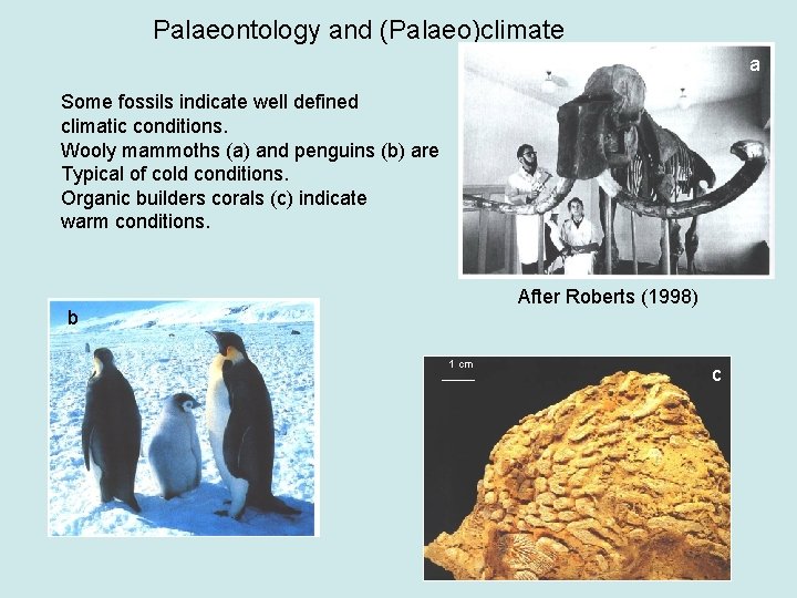 Palaeontology and (Palaeo)climate a Some fossils indicate well defined climatic conditions. Wooly mammoths (a)