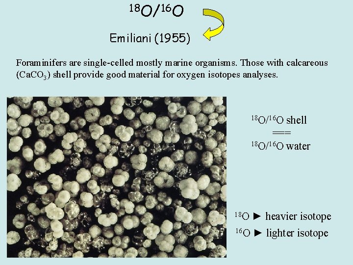 18 O/16 O Emiliani (1955) Foraminifers are single-celled mostly marine organisms. Those with calcareous
