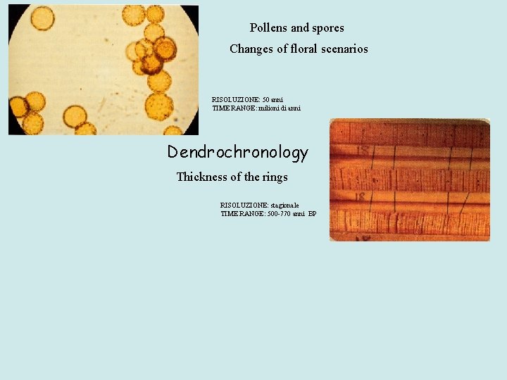 Pollens and spores Changes of floral scenarios RISOLUZIONE: 50 anni TIME RANGE: milioni di