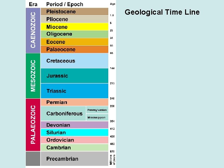 Geological Time Line 