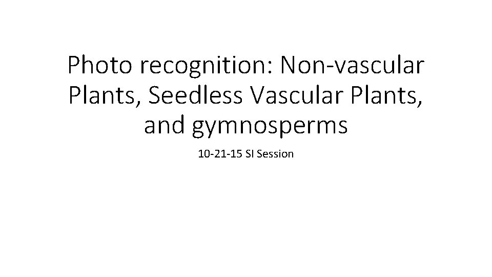 Photo recognition: Non-vascular Plants, Seedless Vascular Plants, and gymnosperms 10 -21 -15 SI Session