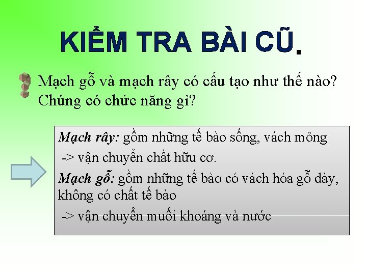 KIỂM TRA BÀI CŨ Mạch gỗ và mạch rây có cấu tạo như thế