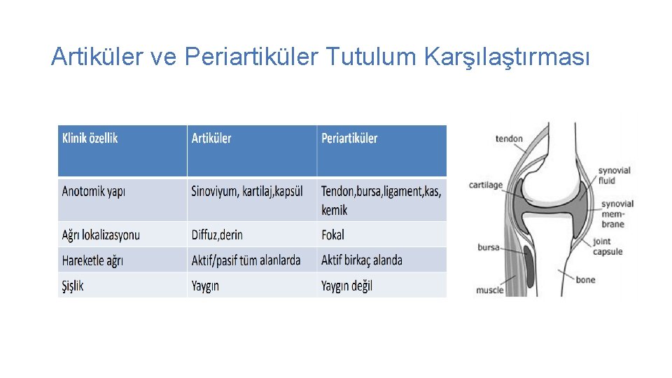 Artiküler ve Periartiküler Tutulum Karşılaştırması 