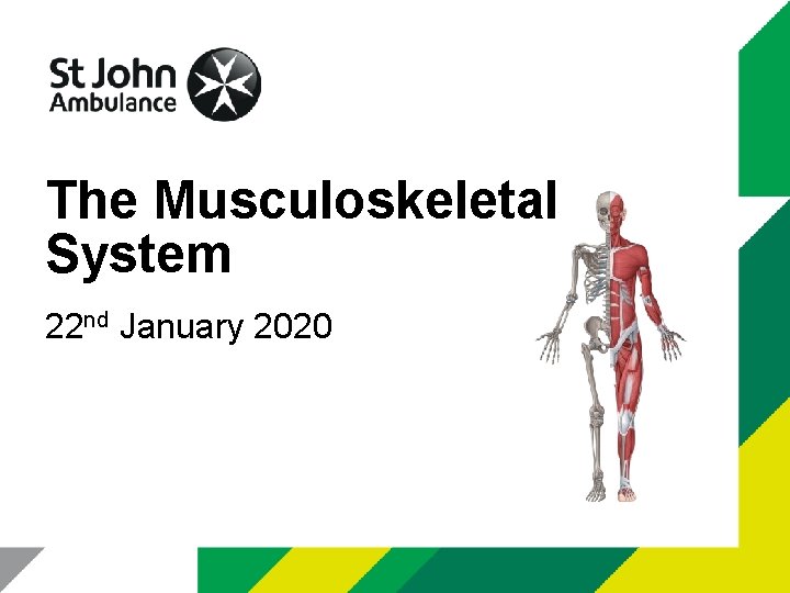 The Musculoskeletal System 22 nd January 2020 