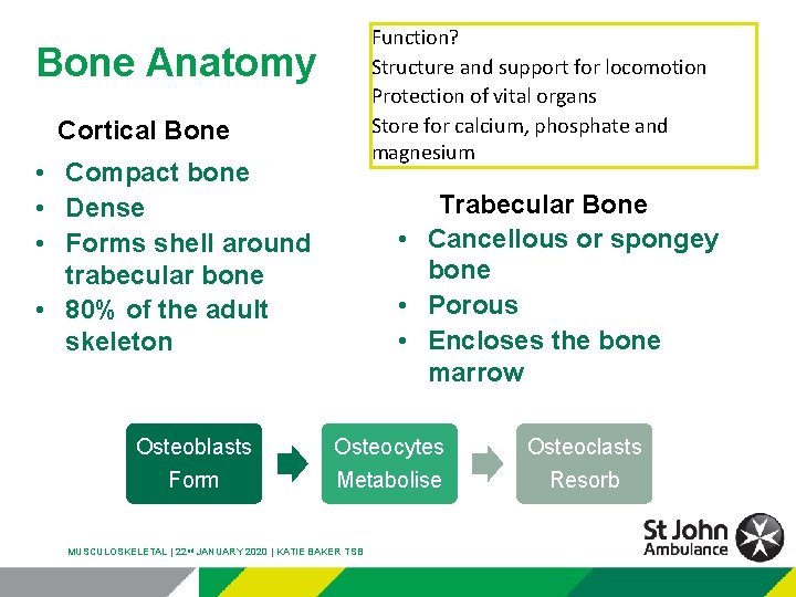Function? Structure and support for locomotion Protection of vital organs Store for calcium, phosphate