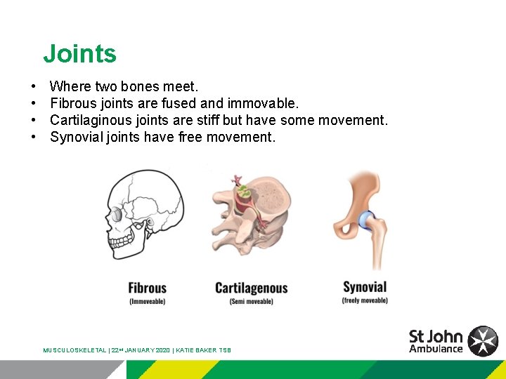 Joints • • Where two bones meet. Fibrous joints are fused and immovable. Cartilaginous