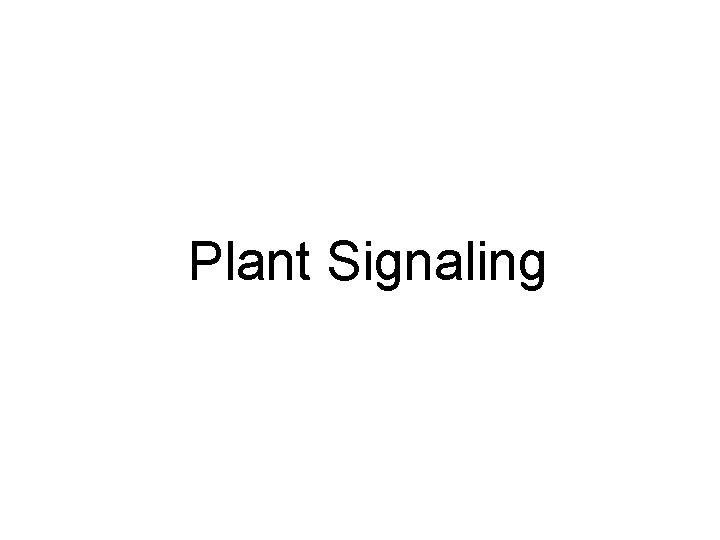 Plant Signaling 