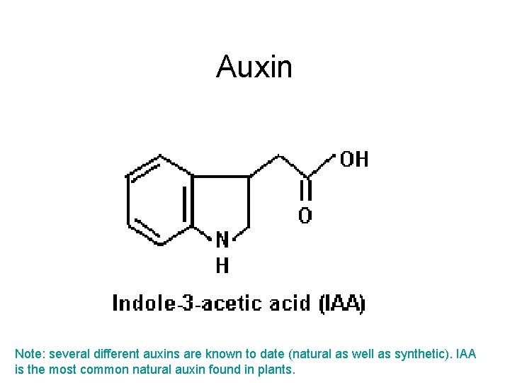 Auxin Note: several different auxins are known to date (natural as well as synthetic).