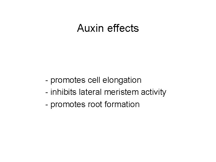 Auxin effects - promotes cell elongation - inhibits lateral meristem activity - promotes root
