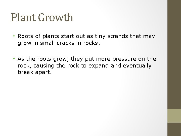 Plant Growth • Roots of plants start out as tiny strands that may grow