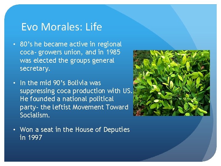 Evo Morales: Life • 80’s he became active in regional coca- growers union, and
