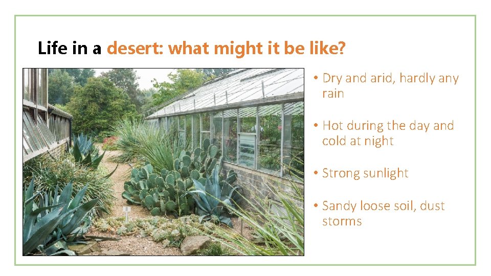 Life in a desert: what might it be like? • Dry and arid, hardly