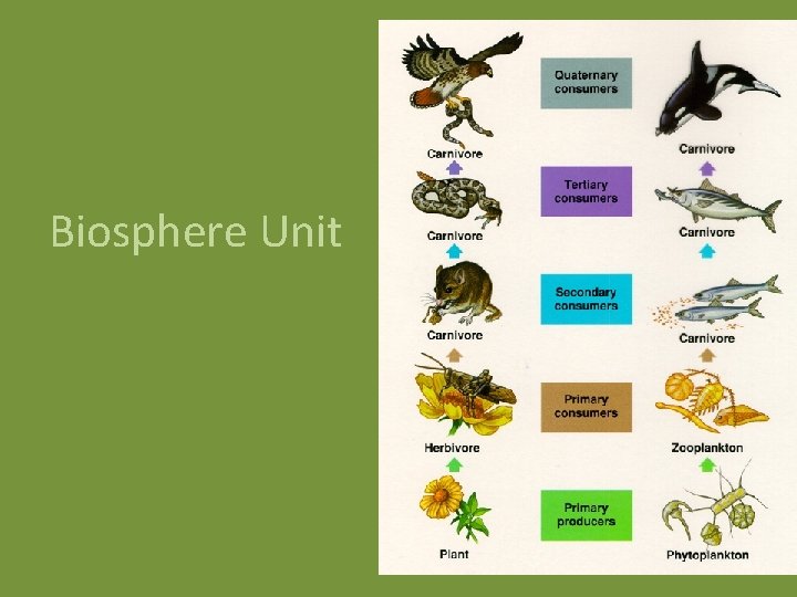 Biosphere Unit 