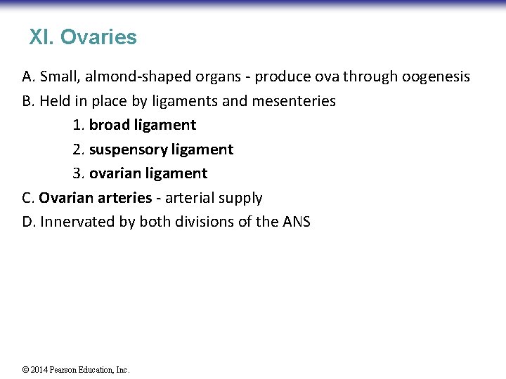 XI. Ovaries A. Small, almond-shaped organs - produce ova through oogenesis B. Held in