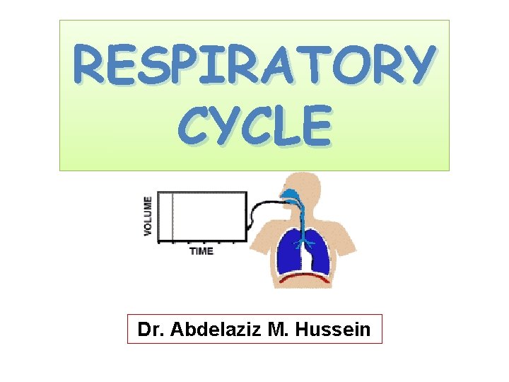RESPIRATORY CYCLE Dr. Abdelaziz M. Hussein 