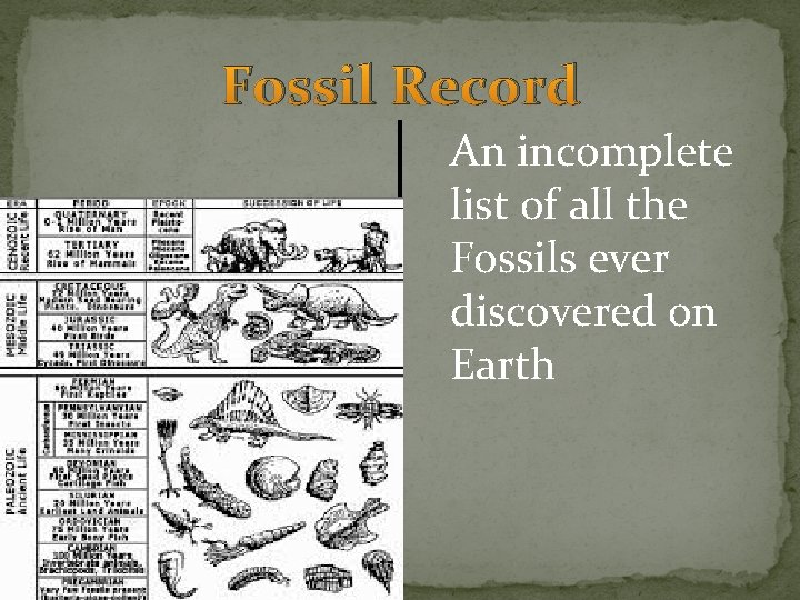 Fossil Record An incomplete list of all the Fossils ever discovered on Earth Fossil Record An incomplete list of all the Fossils ever discovered on Earth