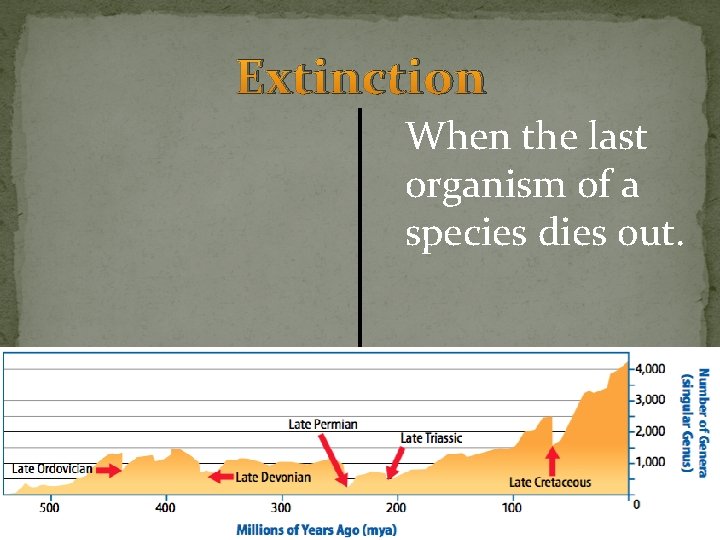 Extinction When the last organism of a species dies out. Extinction When the last organism of a species dies out.