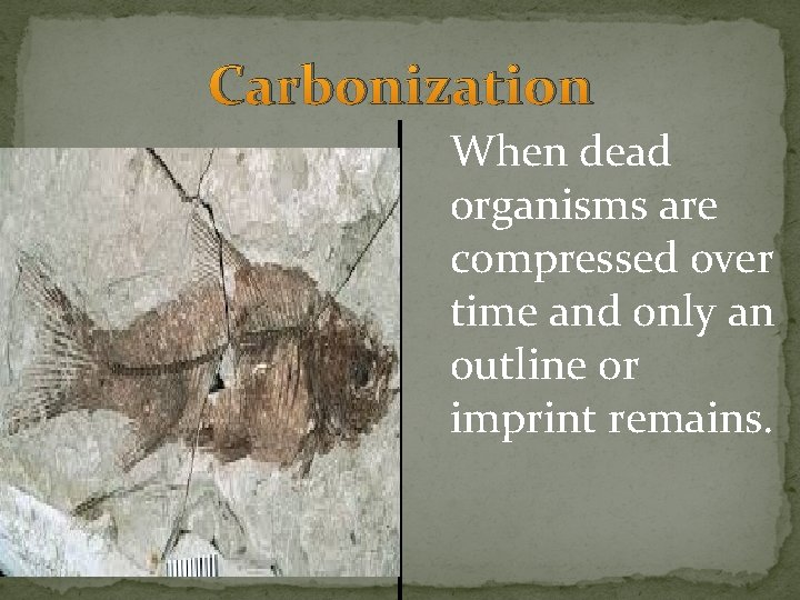Carbonization When dead organisms are compressed over time and only an outline or imprint Carbonization When dead organisms are compressed over time and only an outline or imprint