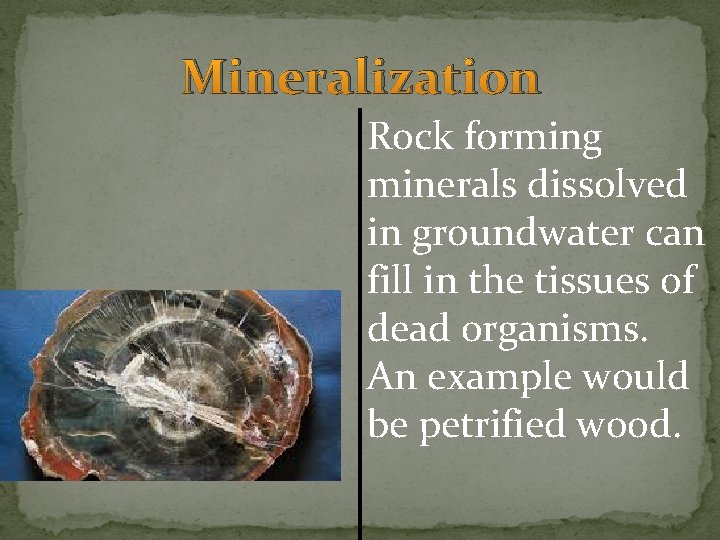 Mineralization Rock forming minerals dissolved in groundwater can fill in the tissues of dead Mineralization Rock forming minerals dissolved in groundwater can fill in the tissues of dead