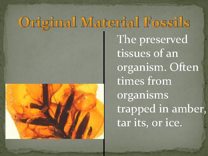 Original Material Fossils The preserved tissues of an organism. Often times from organisms trapped Original Material Fossils The preserved tissues of an organism. Often times from organisms trapped