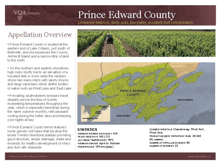 Prince Edward County Limestone bedrock, stony soils, low yields, excellent fruit concentration Appellation Overview