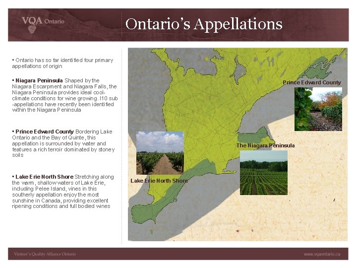 Ontario’s Appellations • Ontario has so far identified four primary appellations of origin •
