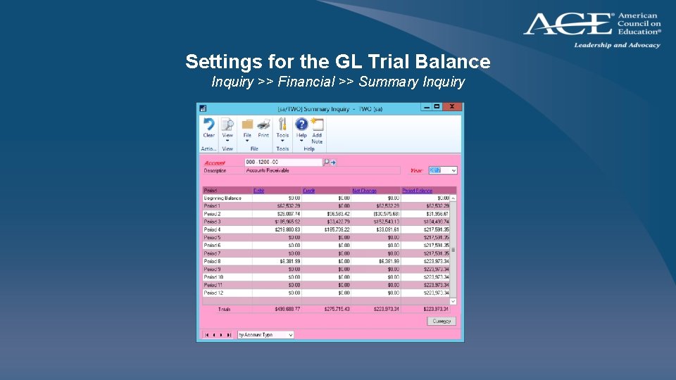 Settings for the GL Trial Balance Inquiry >> Financial >> Summary Inquiry 