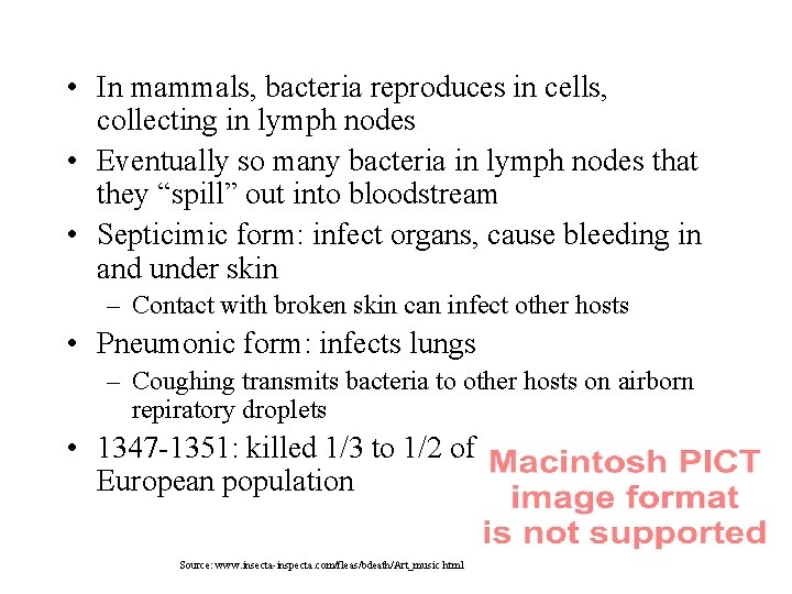  • In mammals, bacteria reproduces in cells, collecting in lymph nodes • Eventually