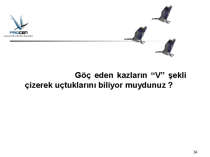 Göç eden kazların “V” şekli çizerek uçtuklarını biliyor muydunuz ? 34 