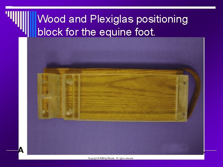 Wood and Plexiglas positioning block for the equine foot. 