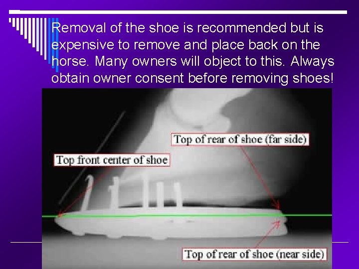 Removal of the shoe is recommended but is expensive to remove and place back