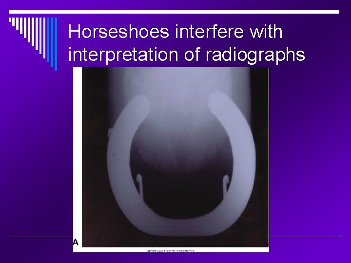 Horseshoes interfere with interpretation of radiographs 